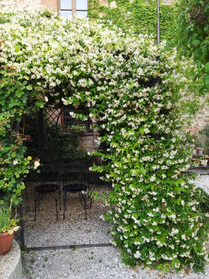 Relais Mastro Cinghiale Bed & Breakfast Paciano Eksteriør bilde