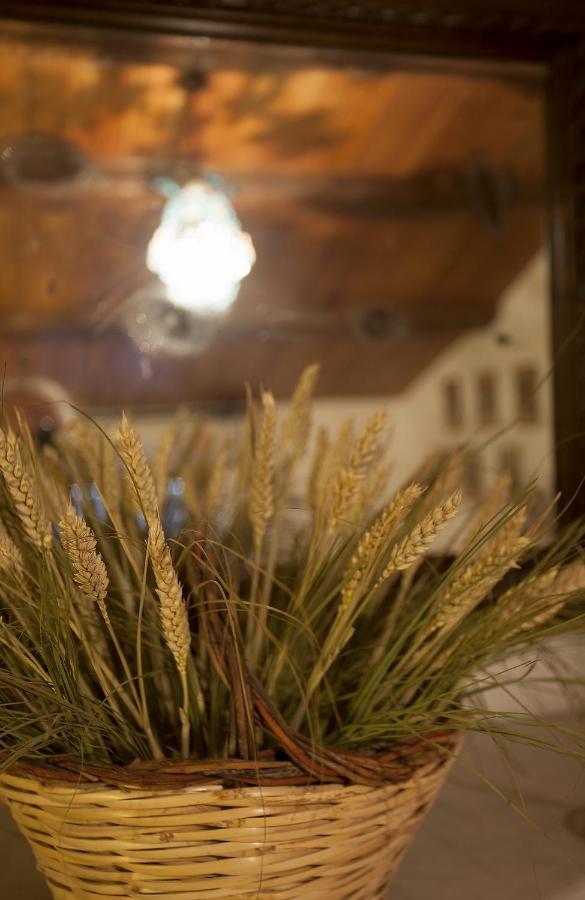 Relais Mastro Cinghiale Bed & Breakfast Paciano Eksteriør bilde