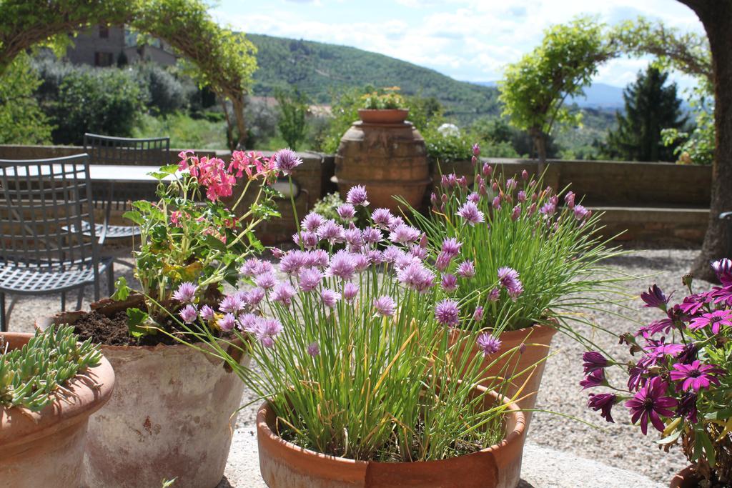 Relais Mastro Cinghiale Bed & Breakfast Paciano Eksteriør bilde